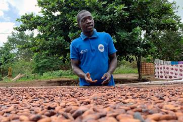 Ghanian cocoa farmer, Aziz Kwadio, 34, speaks during an interview with Reuters as he dries cocoa beans at his farm in the village of Essam, in the western region in Ghana, June 20, 2019. PHOTO BY REUTERS/Ange Aboa