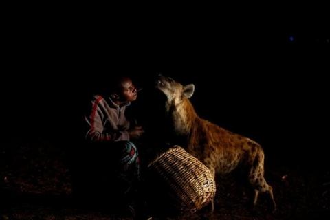 Abbas Yusuf, 23, known as Hyena Man, feeds a hyena on the outskirts of Harar, Ethiopia, February 23, 2017. PHOTO BY REUTERS/Tiksa Negeri