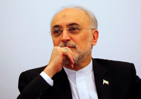 Head of the Iranian Atomic Energy Organization Ali Akbar Salehi attends the lecture "Iran after the agreement: Hopes & Concerns" in Vienna, Austria, September 28, 2016. PHOTO BY REUTERS/Leonhard Foeger