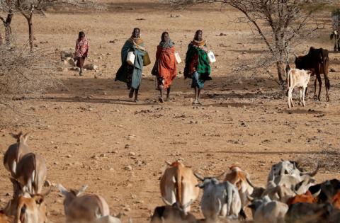 Turkana women carry canisters to get water from a borehole near Baragoy, Kenya, February 14, 2017. PHOTO BY REUTERS/Goran Tomasevic