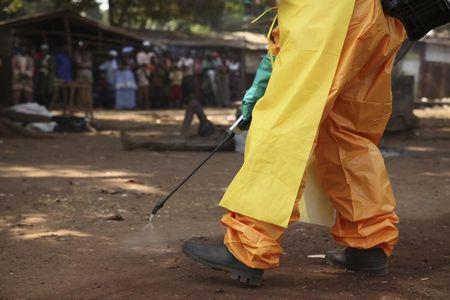 A member of the French Red Cross disinfects the area around a motionless person suspected of carrying the Ebola virus as a crowd gathers in Forecariah, January 30, 2015. PHOTO BY REUTERS/Misha Hussain