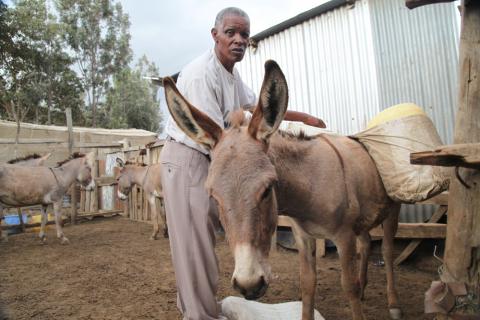 John Nduhiu Kuiyaki, Chairman of the Kamere Donkey Owners Association in Kamere informal settlement in Naivasha, Kenya, August 22, 2019. PHOTO BY REUTERS/Nita Bhalla