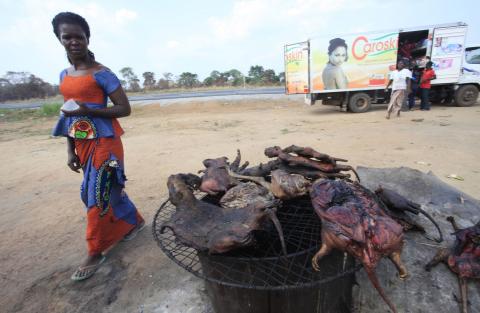 A woman walks past dried bushmeat near a road of the Yamoussoukro highway