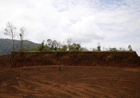 A durian orchard remains untouched in an area exploited by bauxite mining companies in Kuantan, Malaysia, February 16, 2016. PHOTO BY REUTERS/Olivia Harris