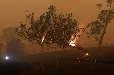 A burning gum tree is felled to stop it from falling on a car in Corbago, as bushfires continue in New South Wales, Australia, January 5, 2020. PHOTO BY REUTERS/Tracey Nearmy