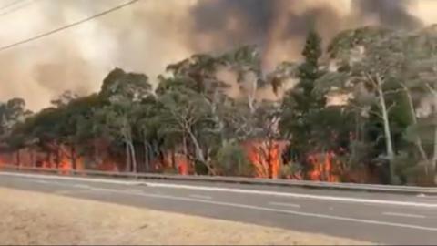 Flames engulf a row of trees at the side of a road on Gospers Mountain in New South Wales, Australia, December 21, 2019, in this still image taken from social media video. PHOTO BY REUTERS/NSW Rural Fire Service