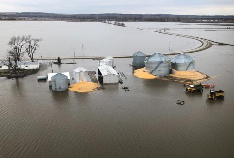 The contents of grain silos which burst from flood damage are shown in Fremont County Iowa, U.S., March 29, 2019. PHOTO BY REUTERS/Tom Polansek