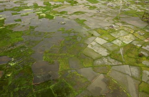 Flooded fields are seen from the air near Beira, Mozambique, in the aftermath of Cyclone Idai, March 23, 2019. PHOTO BY REUTERS/Mike Hutchings