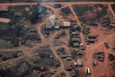 Logs cut from the Amazon rainforest are laid out near the BR-319 highway in the city of Realidade, Amazonas state, Brazil, August 22, 2019. PHOTO BY REUTERS/Ueslei Marcelino