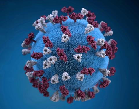 An illustration provides a 3D graphical representation of a spherical-shaped, measles virus particle studded with glycoprotein tubercles in this handout image obtained by Reuters April 9, 2019. PHOTO BY REUTERS