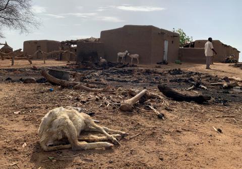 A dead animal is seen amidst the damage at the site of an attack on the Dogon village of Sobane Da, Mali, June 11, 2019. PHOTO BY REUTERS/Malick Konate