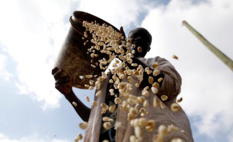 A local miller prepares maize outside his grinding mill ahead of the Presidential election at the Kisumu Ndogo village in Kibera slums of Nairobi, Kenya, August 6, 2017. PHOTO BY REUTERS/Thomas Mukoya