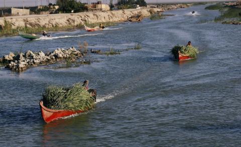 Iraqi Marsh Arab people ride their boats as they collect reeds at the Chebayesh marsh in Dhi Qar province, Iraq, April 14, 2019. PHOTO BY REUTERS/Thaier al-Sudani