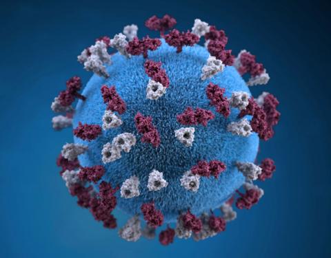 An illustration provides a 3D graphical representation of a spherical-shaped, measles virus particle studded with glycoprotein tubercles in this handout image obtained by Reuters, April 9, 2019. PHOTO BY REUTERS/Centers for Disease Control and Prevention (CDC)