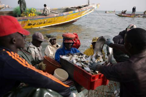 Porters unload fish from an artisanal fishing vessel near the beach at Joal-Fadiouth, a hub of the Senegalese fishing industry, April 10, 2018.PHOTO BY REUTERS/Sylvain Cherkaoui