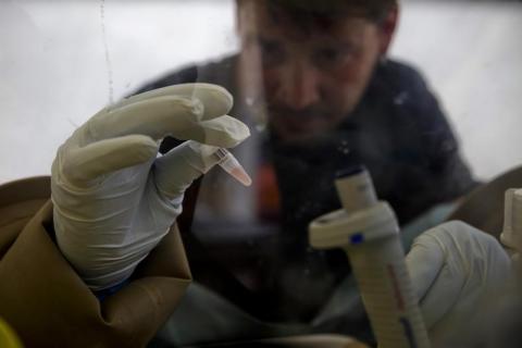 A scientist separates blood cells from plasma cells to isolate any Ebola RNA in order to test for the virus at the European Mobile Laboratory in Gueckedou