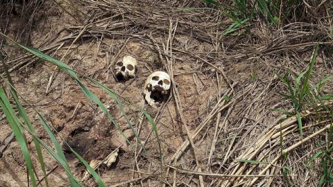 Human skulls suspected to belong to victims of a recent combat between government army and Kamuina Nsapu militia are seen on the roadside in Tshienke near Kananga, the capital of Kasai-central province of the Democratic Republic of Congo, March 12, 2017. PHOTO BY REUTERS/Aaron Ross