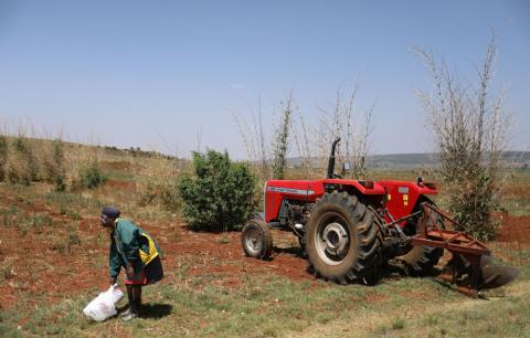 A woman places seed near a tractor before ploughing her land at Lawley informal settlement in the south of Johannesburg, South Africa, November 7, 2018. PHOTO BY REUTERS/Siphiwe Sibeko