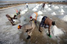 Marie Diouf (back-L), aka Salt Queen, gathers salt with her workers at her production site in Ndiemou on the outskirts of Fatick, Senegal, May 16, 2019. PHOTO BY. REUTERS/Zohra Bensemra