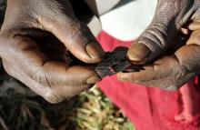 A traditional cutter in Uganda holds razor blades before carrying out female genital mutilation on girls from the Sebei tribe in Bukwa district, northeast of Kampala, December 15, 2008. PHOTO BY REUTERS/James Akena