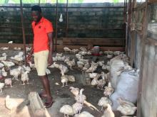 Douglas standing inside his chicken shed in Douala, Cameroon on August 27, 2018. PHOTO BY Thomson Reuters Foundation/Inna Lazareva