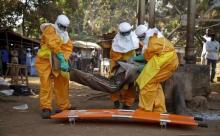 A French Red Cross team picks up a suspected Ebola case from the centre of Forecariah, January 30, 2015. PHOTO BY REUTERS/Misha Hussain