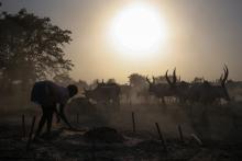 A girl collects fire from a pile of dung ash ahead of nightfall at a camp near Rumbek, capital of the Lakes State in central South Sudan, December 14, 2013. PHOTO BY REUTERS/Goran Tomasevic