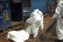 Health workers remove the body of a man believed to have died from the Ebola virus at a street in Monrovia, Liberia, October 27, 2014. PHOTO BY REUTERS/James Giahyue