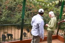British primatologist and conservationist Jane Goodall tours Tacugama Chimpanzee Sanctuary with her friend and founder of the sanctuary, Bala Amarasekaran, in Freetown, Sierra Leone, February 27, 2019. PHOTO BY REUTERS/Cooper Inveen