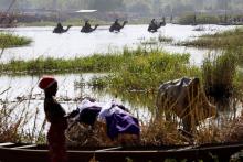 Men on camels cross the water as a woman washes clothes in Lake Chad in Ngouboua. PHOTO BY REUTERS/Emmanuel Braun