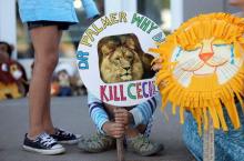 Piper Hoppe, 10, from Minnetonka, Minnesota, holds a sign at the doorway of River Bluff Dental clinic in protest against the killing of a famous lion in Zimbabwe, in Bloomington, Minnesota, July 29, 2015. PHOTO BY REUTERS/Eric Miller