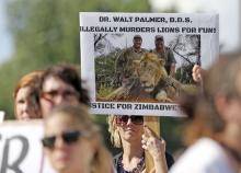 Protesters hold signs during a rally outside the River Bluff Dental clinic against the killing of a famous lion in Zimbabwe, in Bloomington, Minnesota, July 29, 2015. PHOTO BY REUTERS/Eric Miller