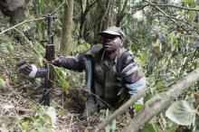 An armed park ranger struggles through the dense forest while tracking mountain gorillas in Virunga National Park, just north of the eastern Congolese city of Goma, August 19, 2010. PHOTO BY REUTERS/Finbarr O'Reilly