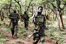 Ugandan soldiers walk at a forest bordering Central African Republic (CAR), South Sudan and Democratic Republic of Congo, near river Chinko, April 18, 2012. PHOTO BY REUTERS/Justin Dralaze