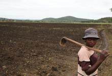 A farm worker looks on ahead of her shift at Chipfumbi farmlands outside Harare, Zimbabwe, November 28, 2017. PHOTO BY REUTERS/Siphiwe Sibeko