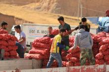 Workers carry bags of potatoes from the truck coming from Turkey, in the town of Zakho, Iraq, October 11, 2017. PHOTO BY REUTERS/Ari Jalal