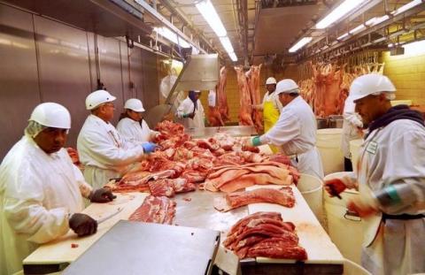Workers cut pork at Park Packing at a Chicago slaughter house , Illinois, July 18, 2015. PHOTO BY REUTERS/Karl Plume