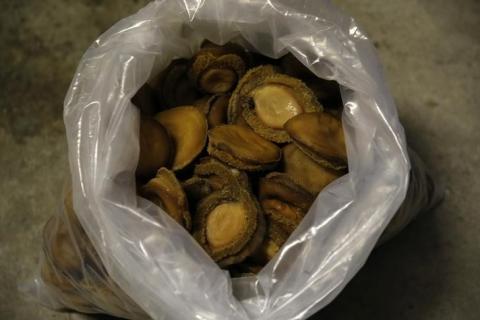 A bag of dried abalone confiscated from suspected poachers is seen in Cape Town