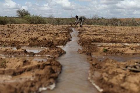 A farmer works in an irrigated field near the village of Botor, Somaliland, April 16, 2016. PHOYO BY REUTERS/Siegfried Modola