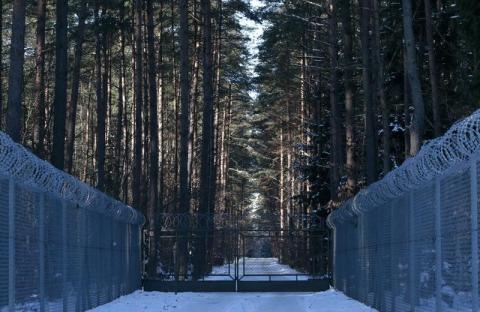 Barbed wire fence surrounding a military area is pictured in the forest near Stare Kiejkuty village, close to Szczytno in northeastern Poland, January 24, 2014. PHOTO BY REUTERS/Kacper Pempel