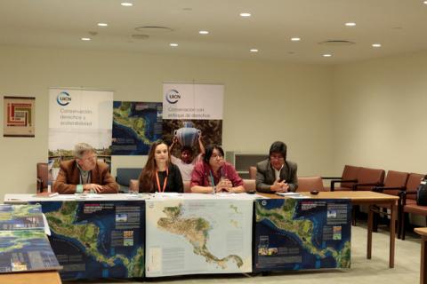 A map featuring areas occupied by indigenous tribes in Central America during a meeting at the United Nations headquarters in New York, May 12, 2016. PHOTO BY REUTERS 