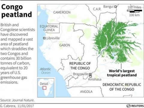 British and Congolese scientists have discovered and mapped a vast area of peatland which straddles the two Congos.
