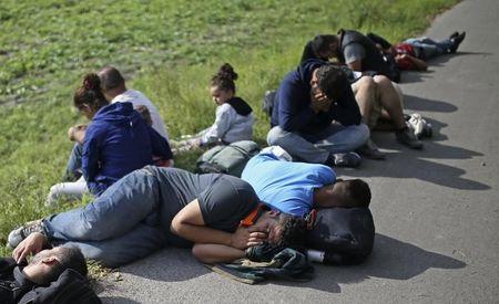 Migrants sit on the ground after being detained by police in Morahalom, Hungary, September 15, 2015. PHOTO BY REUTERS/Dado Ruvic