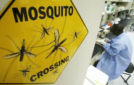 Worker Solomon Conteh dissects a mosquito at Sanaria Inc. facility in Rockville, Maryland, in a file photo. PHOTO BY REUTERS/Jim Young