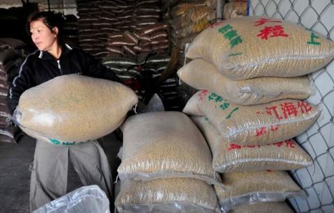 A worker carries a sack of soybeans at a food wholesale market in Shenyang, Liaoning province, January 13, 2011. PHOTO BY REUTERS/Sheng Li