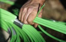A NBN Co worker arranges fibre-optic cables used in the National Broadband Network, July 11, 2013. PHOTO BY REUTERS/Daniel Munoz