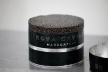 A can of Rova caviar is seen in the processing line at the Acipenser fish farm in Ambatolaona, Madagascar, September 10, 2019. PHOTO BY REUTERS/Baz Ratner