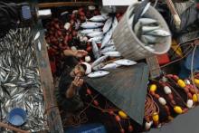 A fisherman works at a fishing port in Agadir, southern Morocco July 22, 2011. PHOTO BY REUTERS/Youssef Boudlal