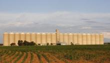 Grain silo's stand behind fields near Coligny, South Africa, January 28, 2016. PHOTO BY REUTERS/Sydney Seshibedi