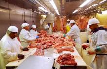 Workers cut pork at Park Packing at a Chicago slaughter house , Illinois, July 18, 2015. PHOTO BY REUTERS/Karl Plume